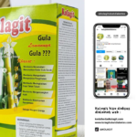 Herbal diabetes bernama Kolagit Gita Adinda Nasution adalah salah satu produk herbal yang berasal dari Medan