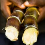Herbal Diabetes Alami dari Tebu